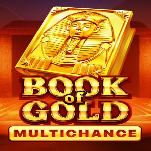 Book of Gold Multichance online game logo by Playson on skyhillscasino.at